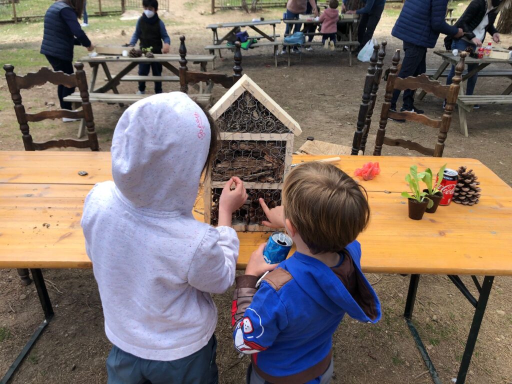 Actividades de ocio en el medioambiente. Construye un hotel de insectos.